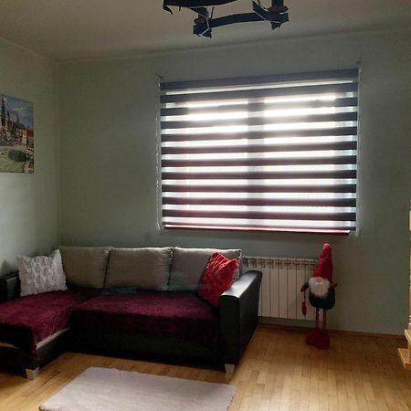 克拉科夫Cracow Family House别墅 外观 照片